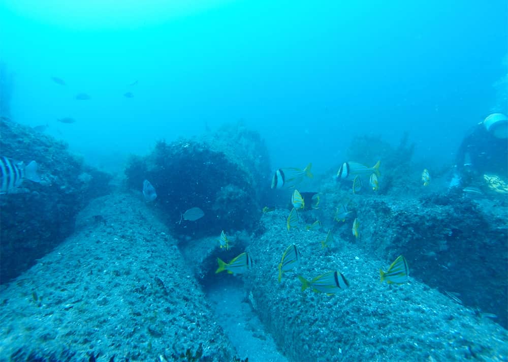 Concrete materials beneath the ocean with artificial reef growth