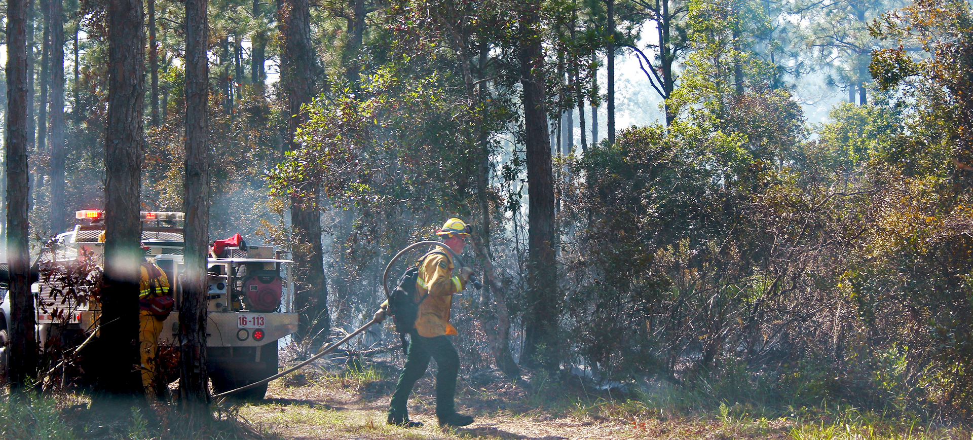 A man inspecting a controlled burn