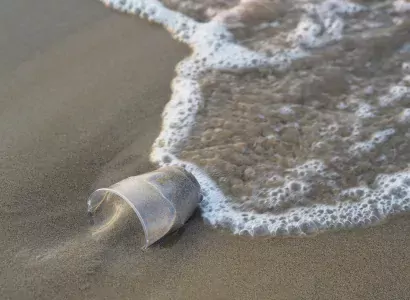 A plastic cup along the shoreline