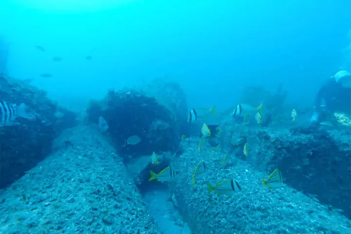 Concrete materials beneath the ocean with artificial reef growth