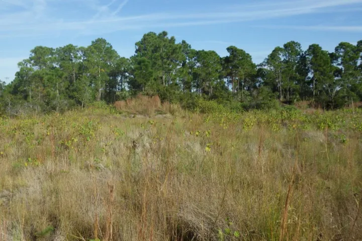 Indian River Lagoon South (IRL South)