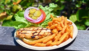 Image of a grilled chicken sandwich served at Sand Dune Café in Jensen Beach, FL.