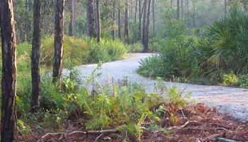 A trail at Delaplane Preserve