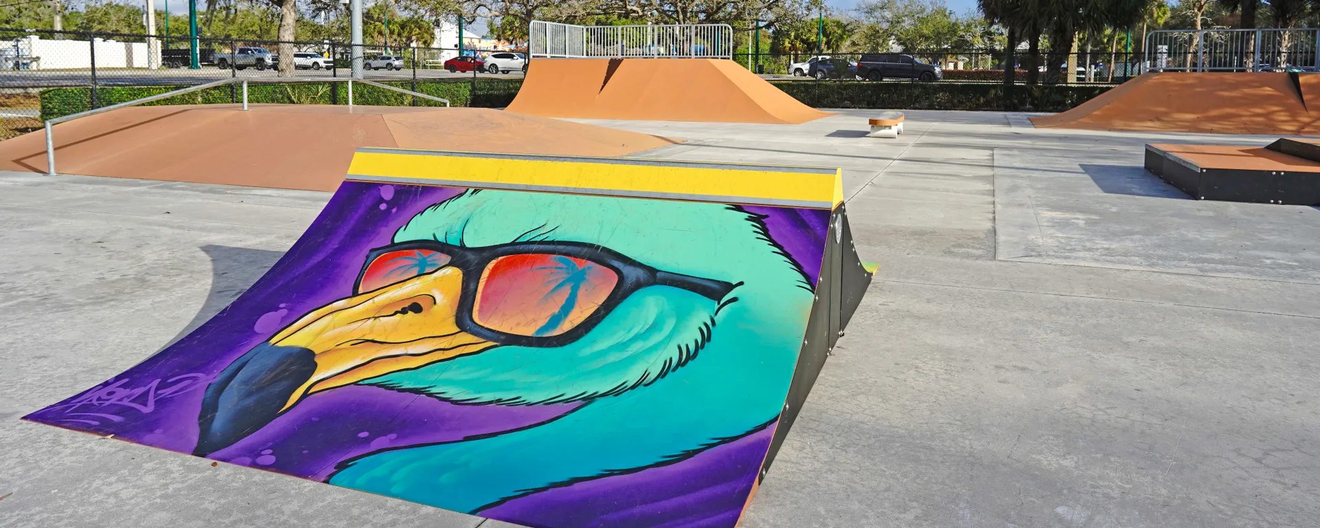 Blue flamingo ramp with sunglasses at Jock Leighton Skatepark