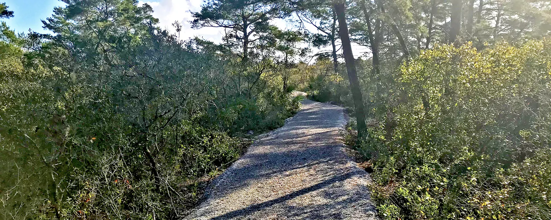 A gravel trail through the Hobe Sound Scrub Preserve