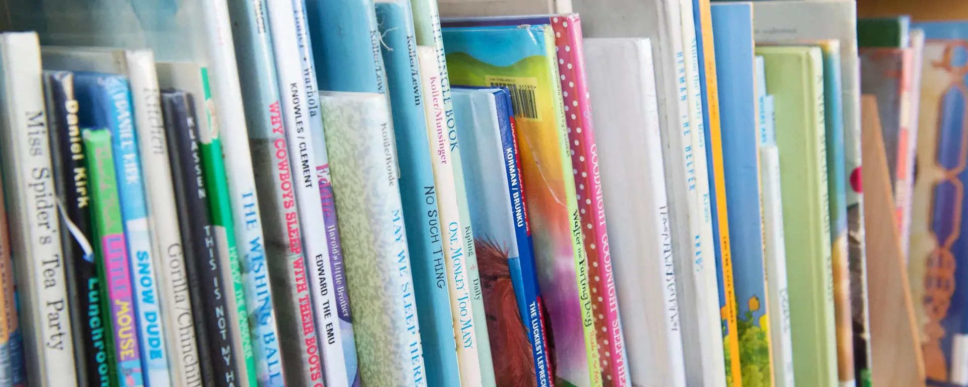 image of kids books on the shelf