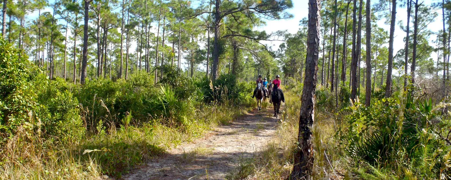 Riders on horseback along a trail at Pal Mar East