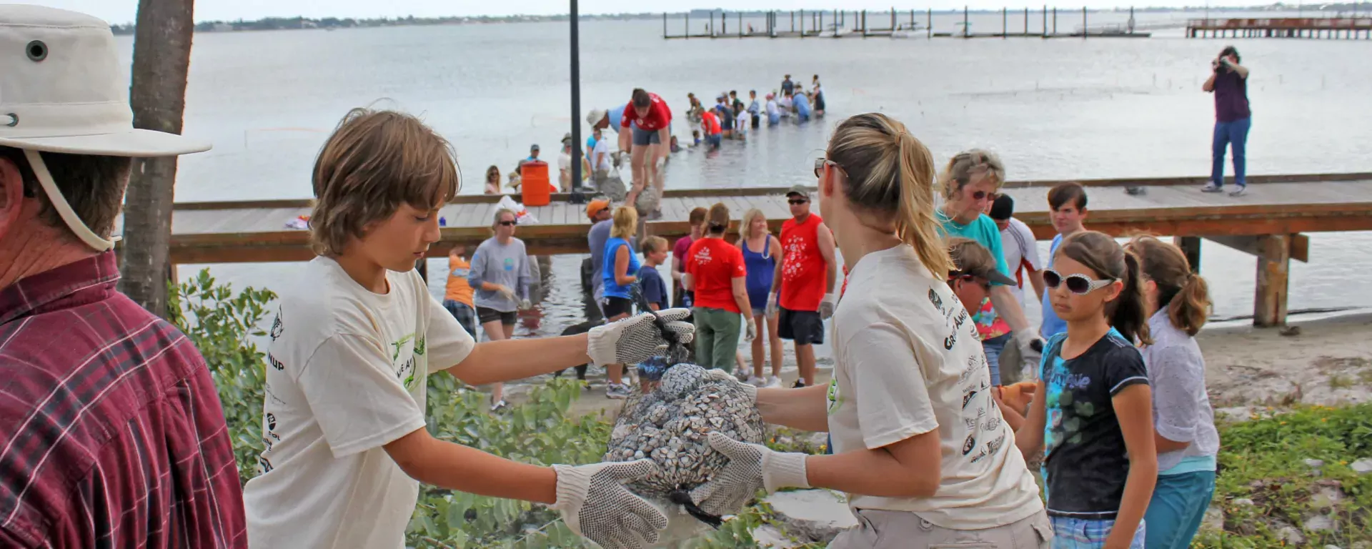 A group of volunteers creating living shorelines