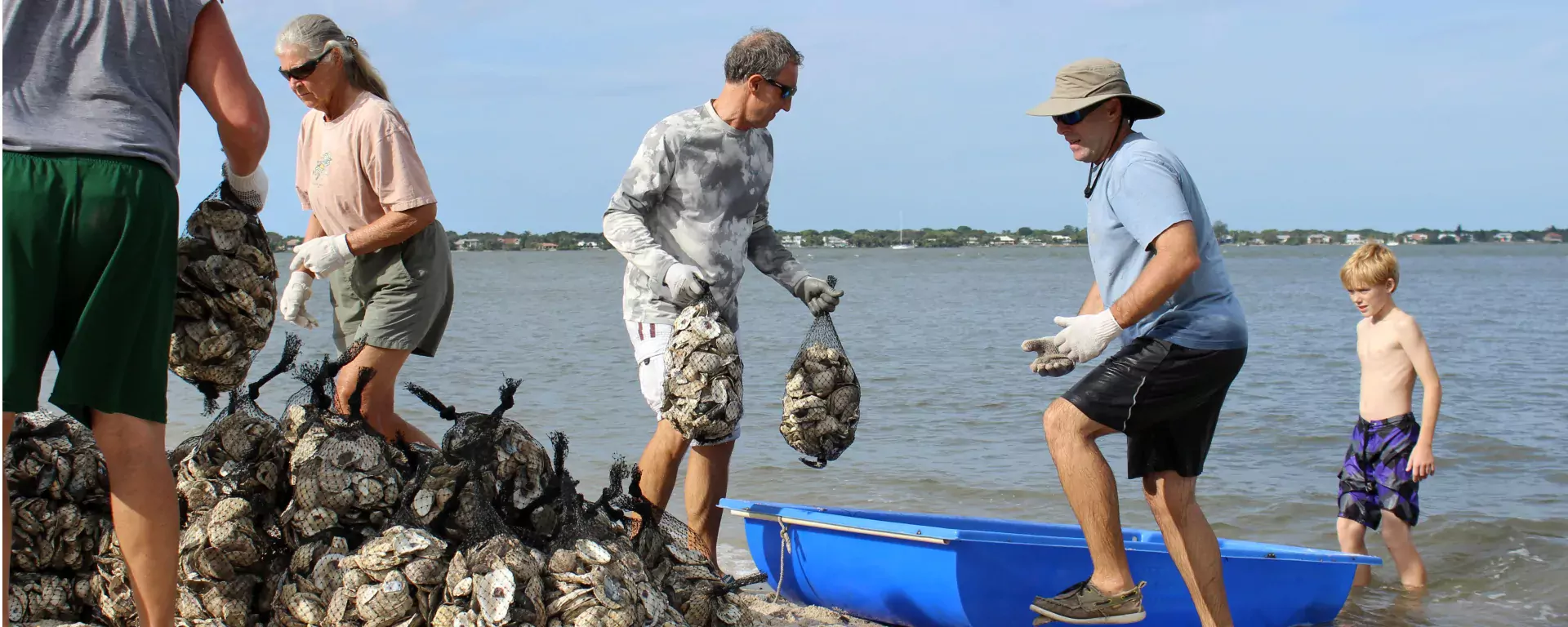 A group of volunteers collecting oyster bags