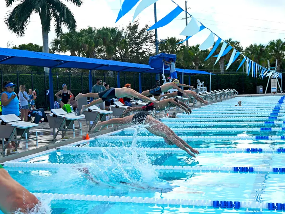 Swimmers participating in a swimming competition