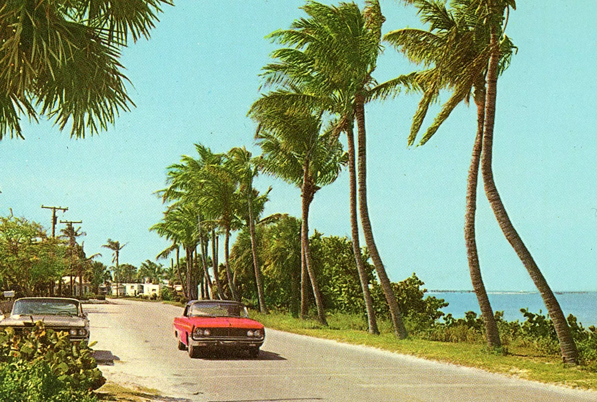 Indian River Drive between Jensen Beach and Stuart, Florida. 1964. State Archives of Florida, Florida Memory