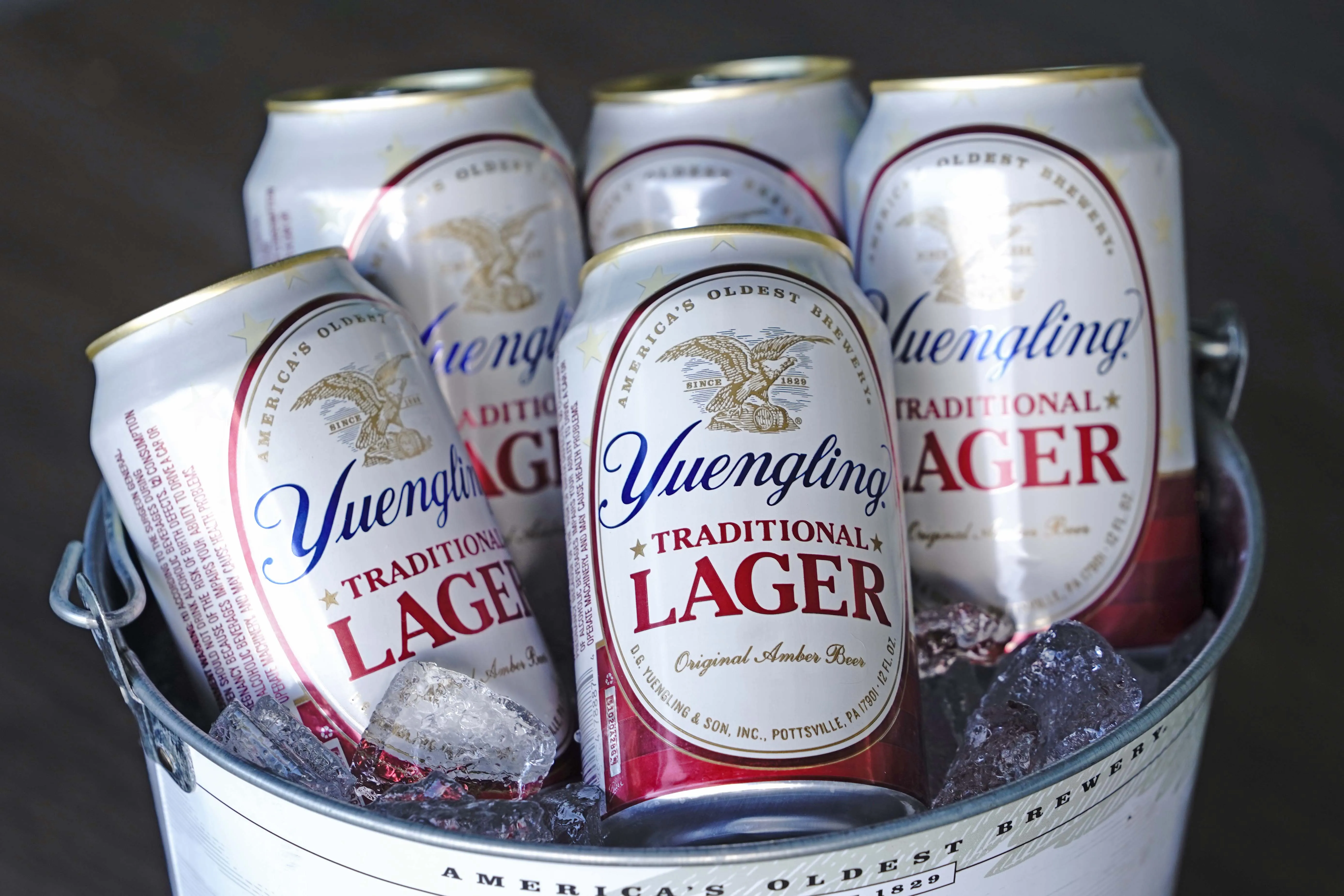 5 Yuengling Traditional Lager cans in a bucket of ice