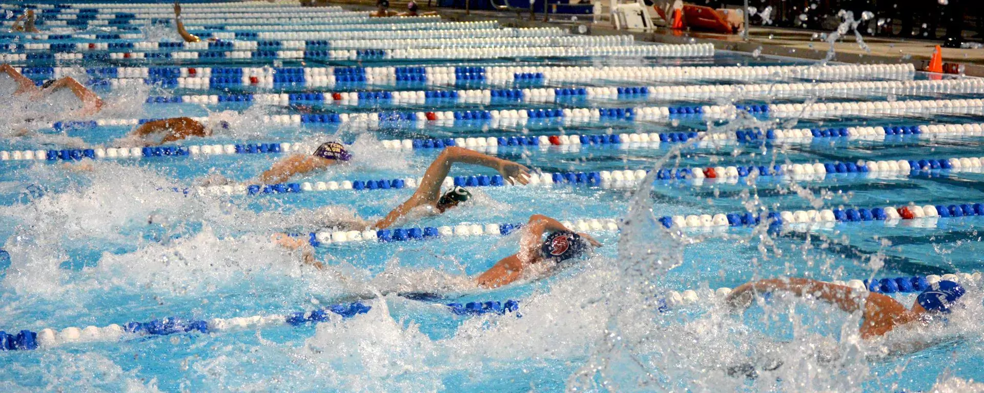 Competitive swimmers in a pool