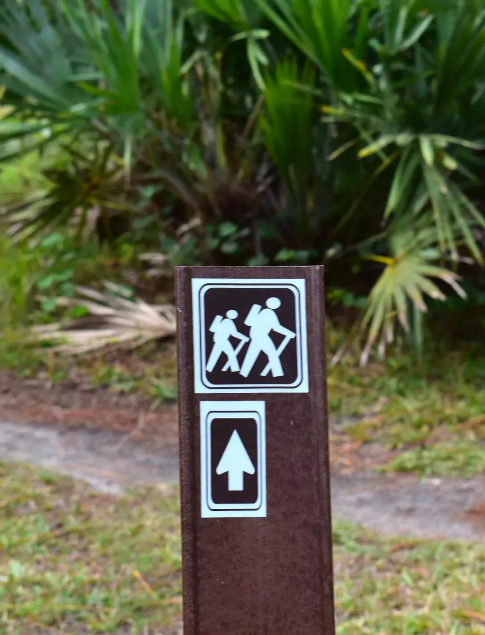An image of hiking trail signage