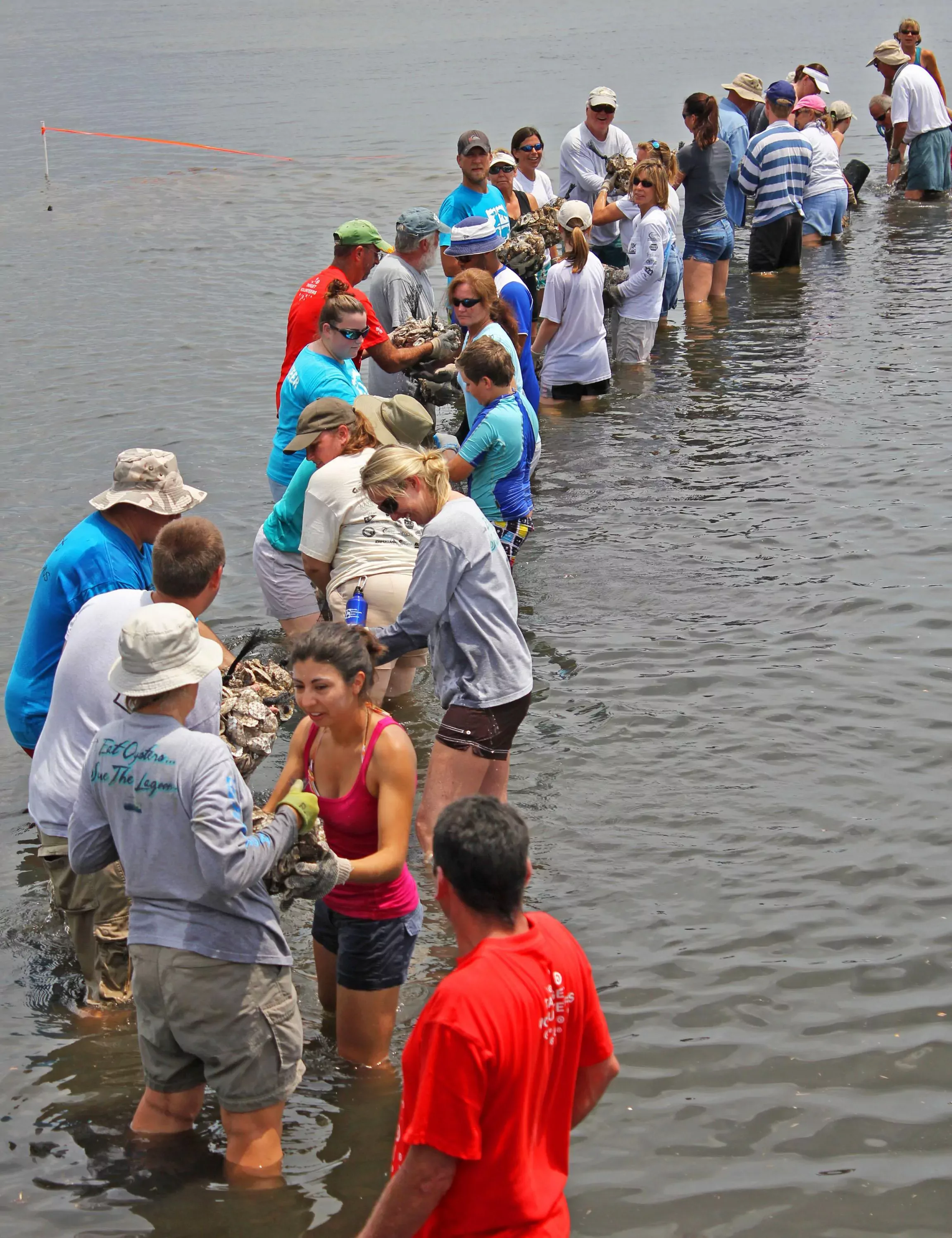 An image of volunteers placing oyster bags
