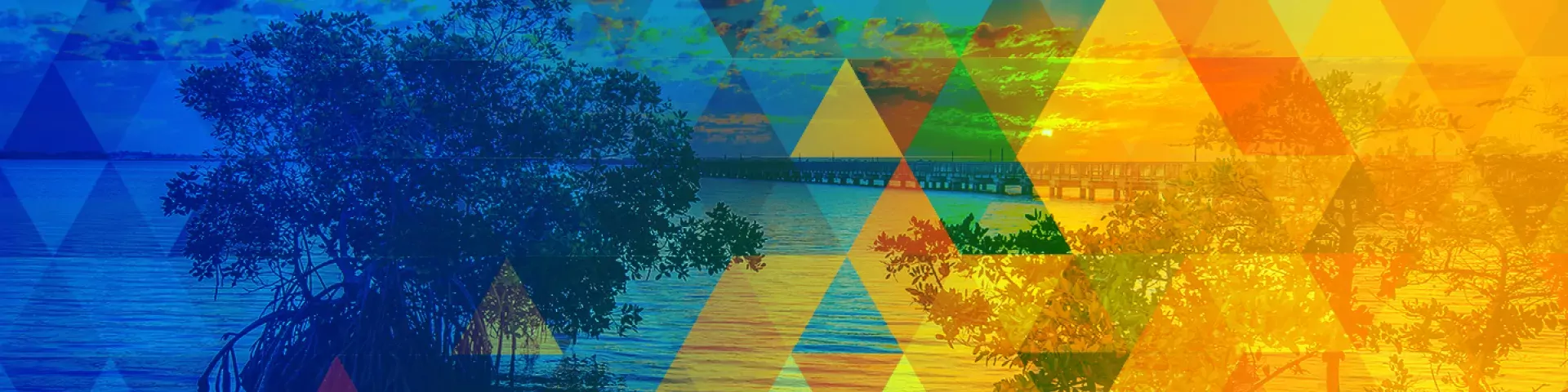 Resilient Martin Mangroves and boardwalk